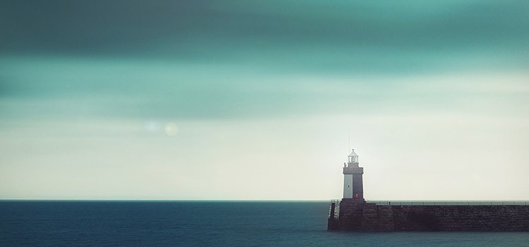 東莞一小伙公開售賣肉食孔雀 市民質(zhì)疑其行為是