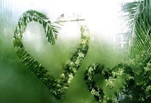 印度最干凈的地方，竟然是這樣的一個村莊