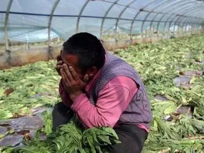 多地農產品滯銷新聞引發社會關注 如何破解困局(圖1)