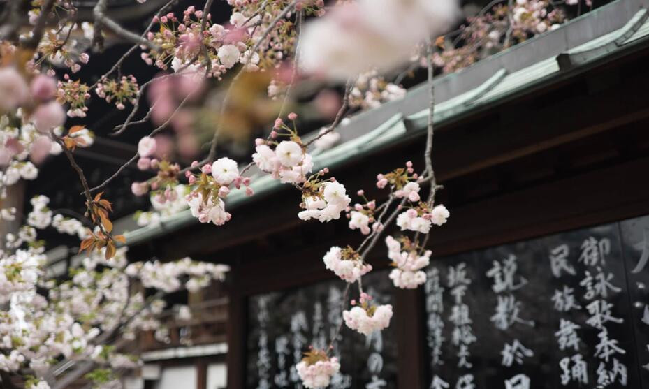 日本出臺新規(guī):限制加密貨幣保證金交易杠桿率(圖1) 日本出臺新規(guī):限制加密貨幣保證金交易杠桿率(圖1)