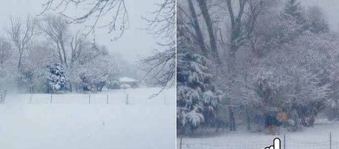 美國一懶馬下雪天不進屋 愛躺著睡覺常被誤以為已死(圖1) 美國一懶馬下雪天不進屋 愛躺著睡覺常被誤以為已死(圖1)