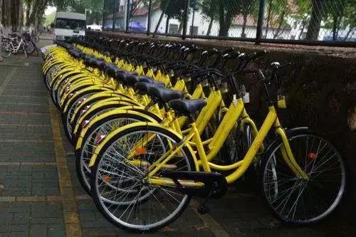 大敗局！萬(wàn)人“圍攻”ofo總部，獨(dú)角獸一地雞毛！(圖4)