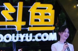 斗魚“斗”不動(dòng)了？
