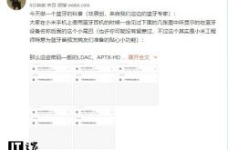 小米張國全：我們做了一個藍牙編碼的科普