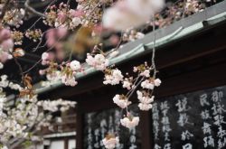 日本出臺新規：限制加密貨幣保證金交易杠桿率